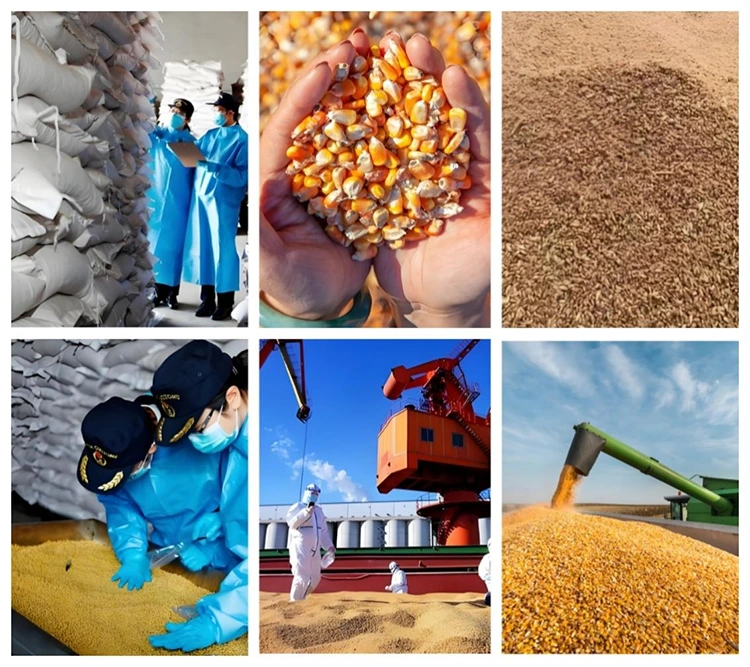 Imported Grain Sterilization Equipment